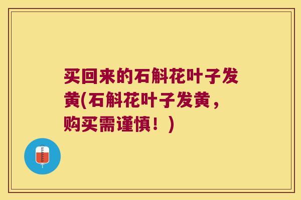 买回来的石斛花叶子发黄(石斛花叶子发黄，购买需谨慎！)