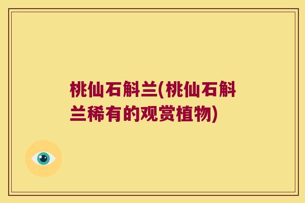 桃仙石斛兰(桃仙石斛兰稀有的观赏植物)