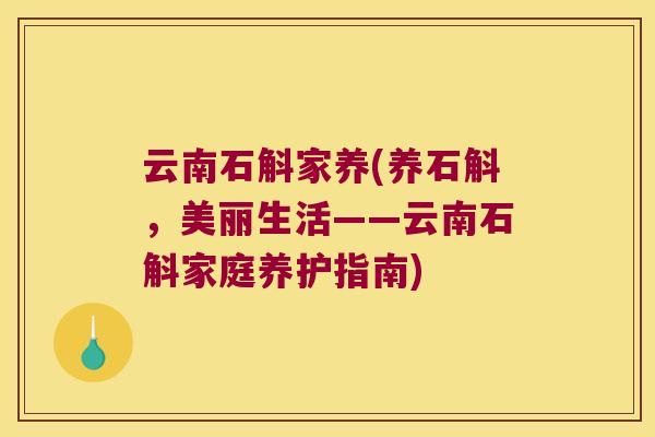 云南石斛家养(养石斛，美丽生活——云南石斛家庭养护指南)