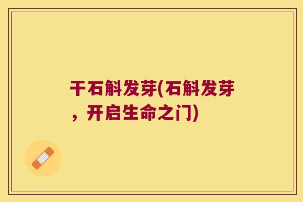 干石斛发芽(石斛发芽，开启生命之门)