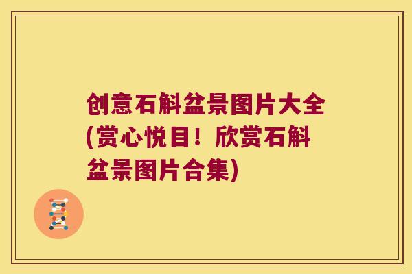 创意石斛盆景图片大全(赏心悦目！欣赏石斛盆景图片合集)