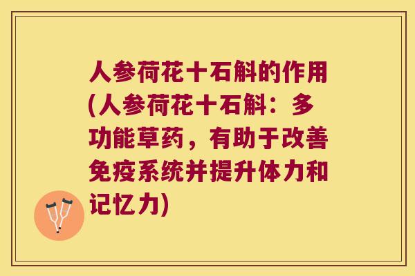 人参荷花十石斛的作用(人参荷花十石斛：多功能草药，有助于改善免疫系统并提升体力和记忆力)