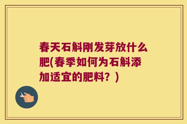春天石斛刚发芽放什么肥(春季如何为石斛添加适宜的肥料？)