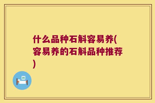 什么品种石斛容易养(容易养的石斛品种推荐)