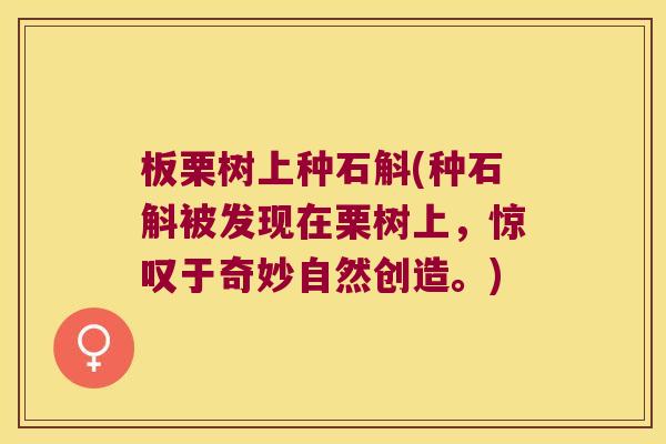 板栗树上种石斛(种石斛被发现在栗树上，惊叹于奇妙自然创造。)