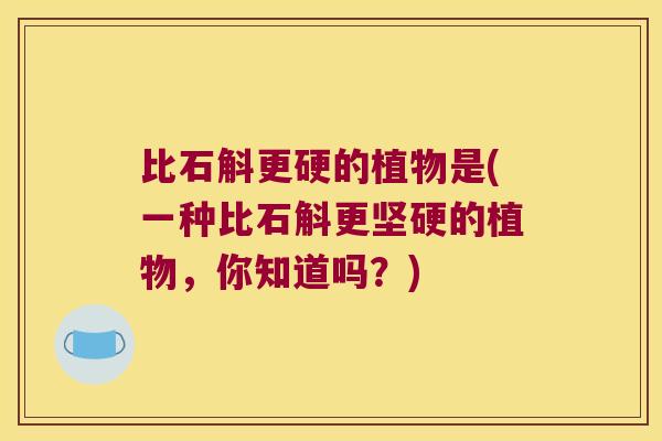 比石斛更硬的植物是(一种比石斛更坚硬的植物，你知道吗？)