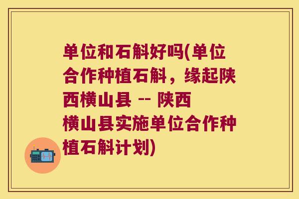 单位和石斛好吗(单位合作种植石斛，缘起陕西横山县 -- 陕西横山县实施单位合作种植石斛计划)