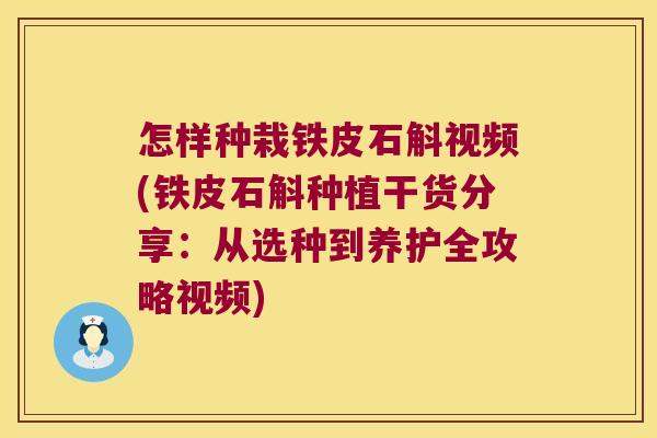 怎样种栽铁皮石斛视频(铁皮石斛种植干货分享：从选种到养护全攻略视频)