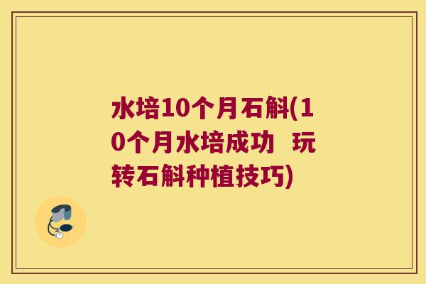 水培10个月石斛(10个月水培成功  玩转石斛种植技巧)