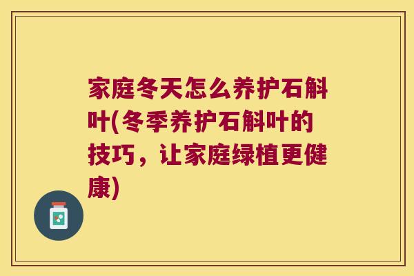 家庭冬天怎么养护石斛叶(冬季养护石斛叶的技巧，让家庭绿植更健康)