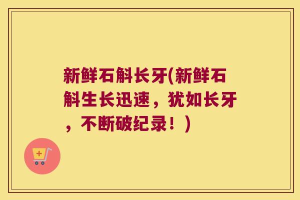 新鲜石斛长牙(新鲜石斛生长迅速，犹如长牙，不断破纪录！)
