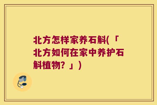 北方怎样家养石斛(「北方如何在家中养护石斛植物？」)