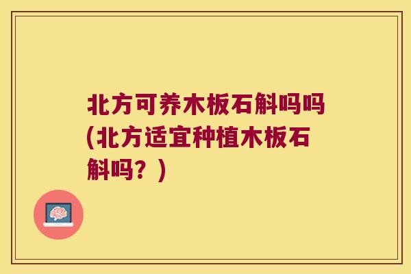北方可养木板石斛吗吗(北方适宜种植木板石斛吗？)