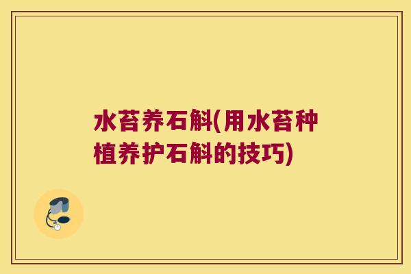 水苔养石斛(用水苔种植养护石斛的技巧)