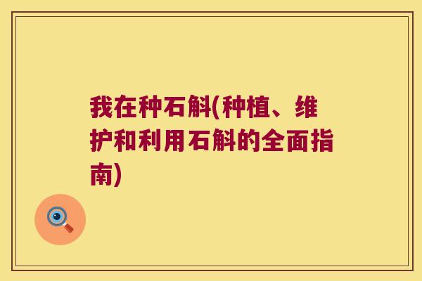 我在种石斛(种植、维护和利用石斛的全面指南)