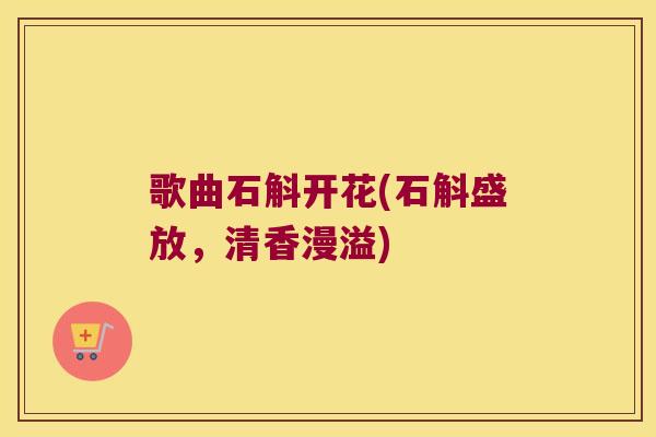 歌曲石斛开花(石斛盛放,清香漫溢) 歌曲石斛开花(石斛盛放,清香漫溢)