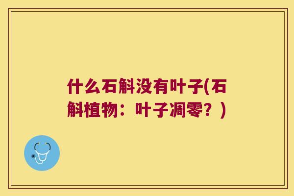 什么石斛没有叶子(石斛植物：叶子凋零？)