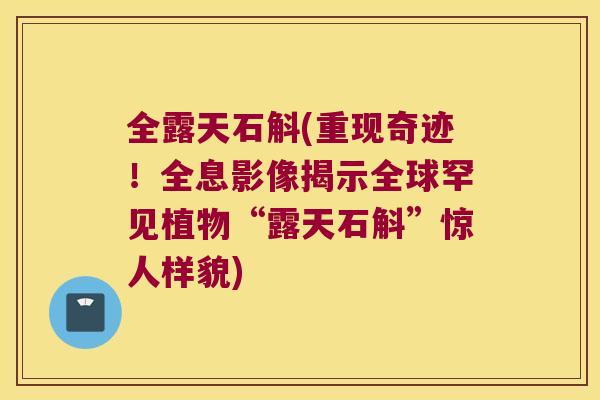 全露天石斛(重现奇迹！全息影像揭示全球罕见植物“露天石斛”惊人样貌)
