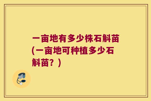 一亩地有多少株石斛苗(一亩地可种植多少石斛苗？)