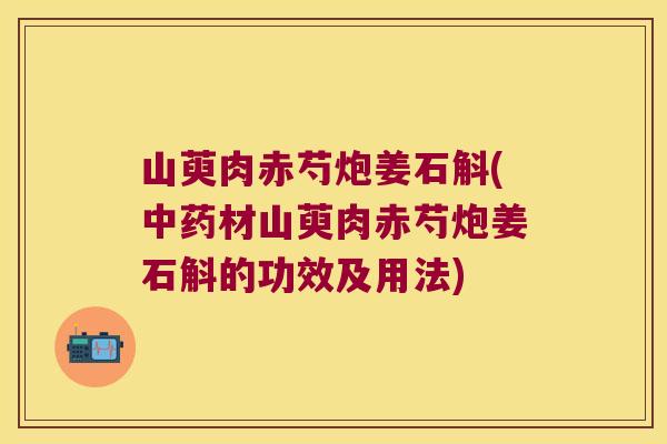 山萸肉赤芍炮姜石斛(材山萸肉赤芍炮姜石斛的功效及用法)