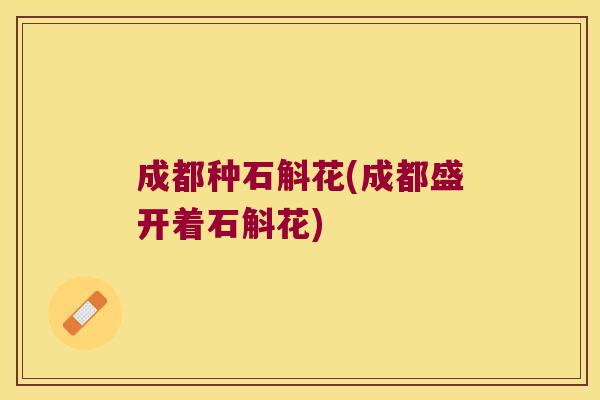 成都种石斛花(成都盛开着石斛花)