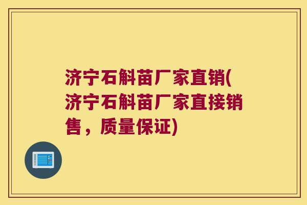 济宁石斛苗厂家直销(济宁石斛苗厂家直接销售，质量保证)