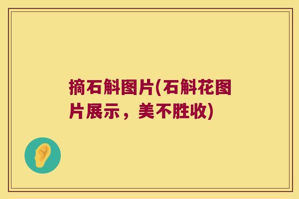 摘石斛图片(石斛花图片展示，美不胜收)