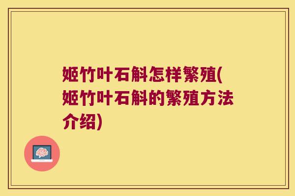 姬竹叶石斛怎样繁殖(姬竹叶石斛的繁殖方法介绍)