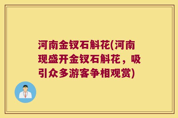 河南金钗石斛花(河南现盛开金钗石斛花，吸引众多游客争相观赏)