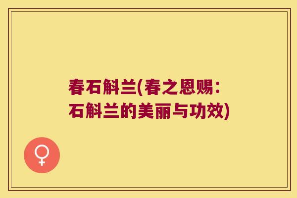春石斛兰(春之恩赐：石斛兰的美丽与功效)