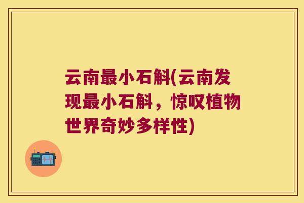 云南最小石斛(云南发现最小石斛，惊叹植物世界奇妙多样性)