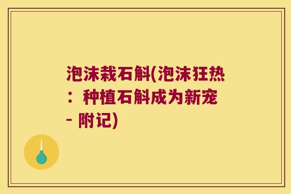 泡沫栽石斛(泡沫狂热：种植石斛成为新宠 - 附记)