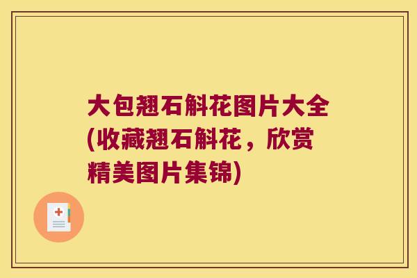 大包翘石斛花图片大全(收藏翘石斛花，欣赏精美图片集锦)