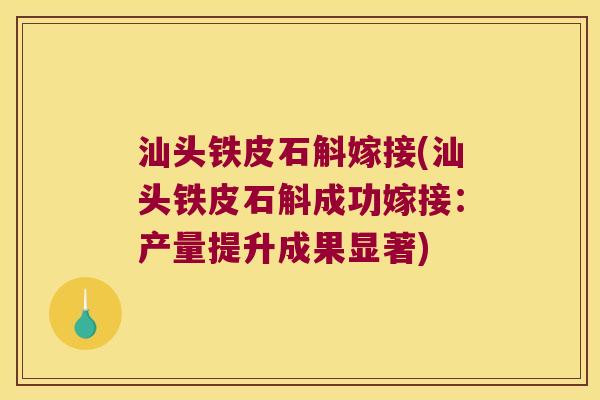 汕头铁皮石斛嫁接(汕头铁皮石斛成功嫁接：产量提升成果显著)