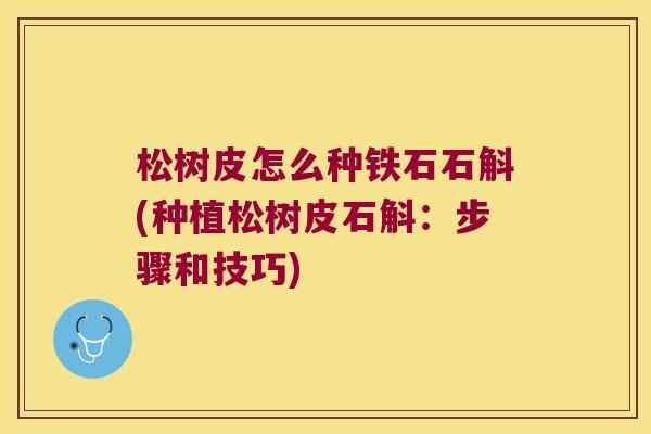 松树皮怎么种铁石石斛(种植松树皮石斛：步骤和技巧)