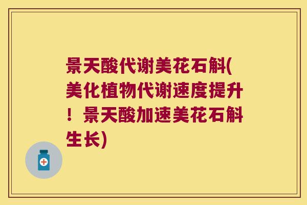 景天酸代谢美花石斛(美化植物代谢速度提升！景天酸加速美花石斛生长)