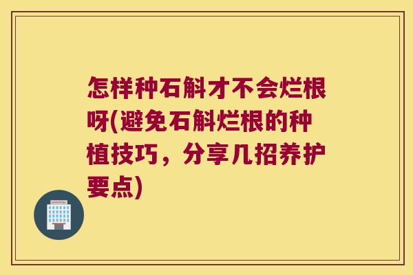 怎样种石斛才不会烂根呀(避免石斛烂根的种植技巧，分享几招养护要点)