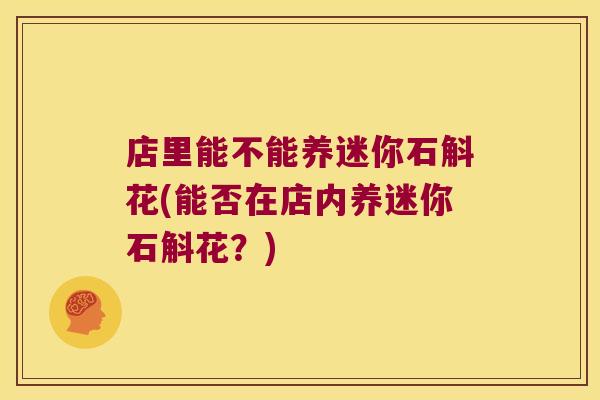 店里能不能养迷你石斛花(能否在店内养迷你石斛花？)