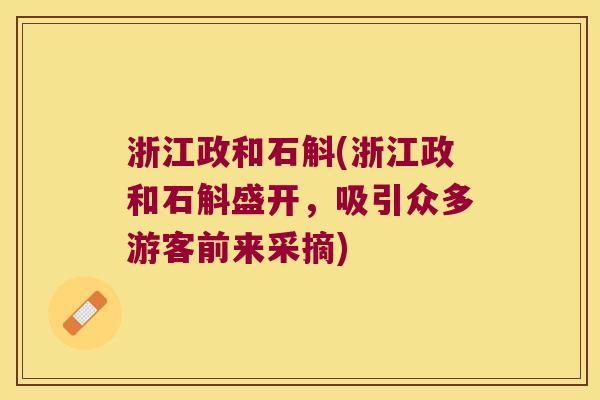 浙江政和石斛(浙江政和石斛盛开，吸引众多游客前来采摘)