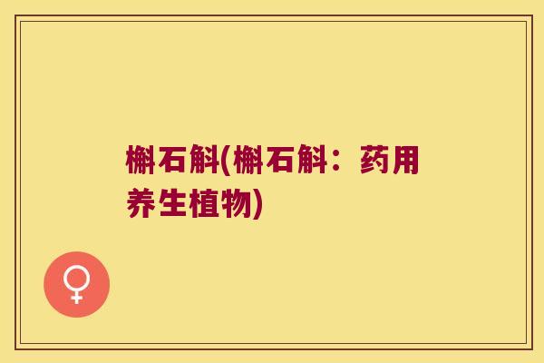 槲石斛(槲石斛：药用养生植物)