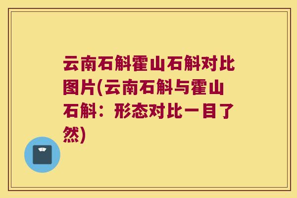 云南石斛霍山石斛对比图片(云南石斛与霍山石斛：形态对比一目了然)