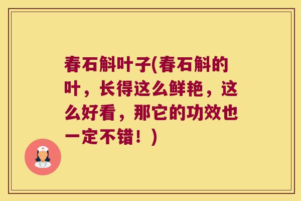春石斛叶子(春石斛的叶，长得这么鲜艳，这么好看，那它的功效也一定不错！)