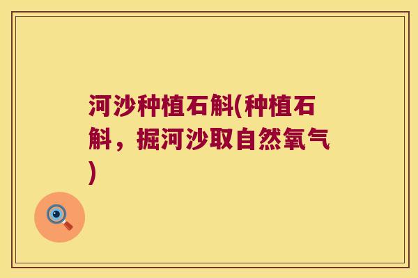 河沙种植石斛(种植石斛，掘河沙取自然氧气)