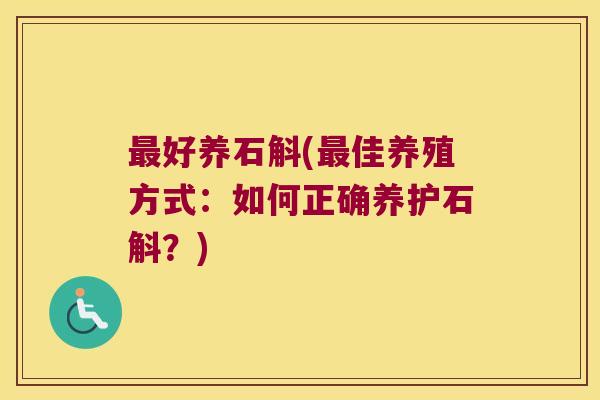 最好养石斛(最佳养殖方式：如何正确养护石斛？)