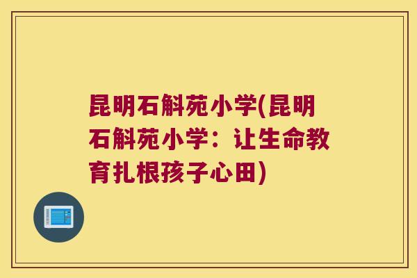 昆明石斛苑小学(昆明石斛苑小学：让生命教育扎根孩子心田)