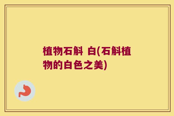 植物石斛 白(石斛植物的白色之美)