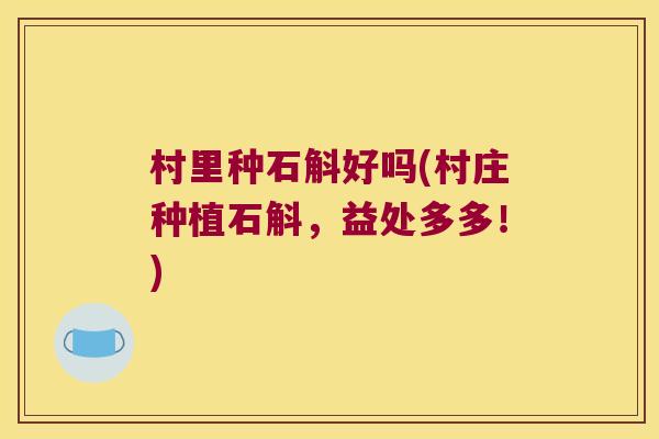 村里种石斛好吗(村庄种植石斛，益处多多！)