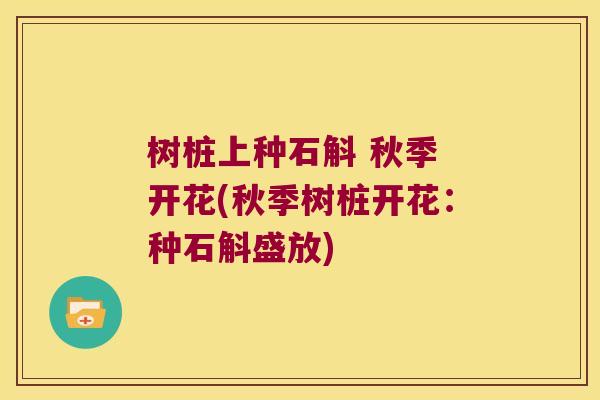 树桩上种石斛 秋季 开花(秋季树桩开花：种石斛盛放)