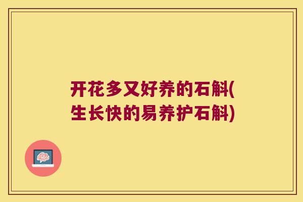开花多又好养的石斛(生长快的易养护石斛)