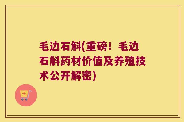 毛边石斛(重磅！毛边石斛药材价值及养殖技术公开解密)